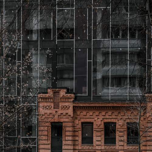 Photo #7203993