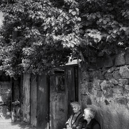 Photo #7204093