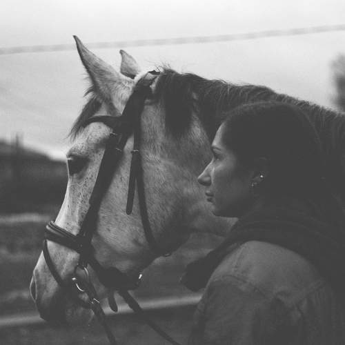 Photo #7204482