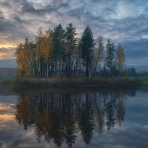 Photo #7204538