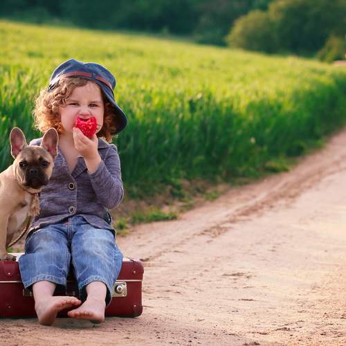Photo #7204545