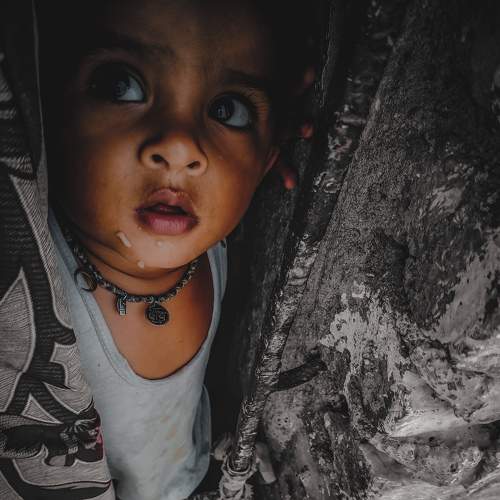 Photo #7205175