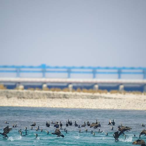 Photo #7205284