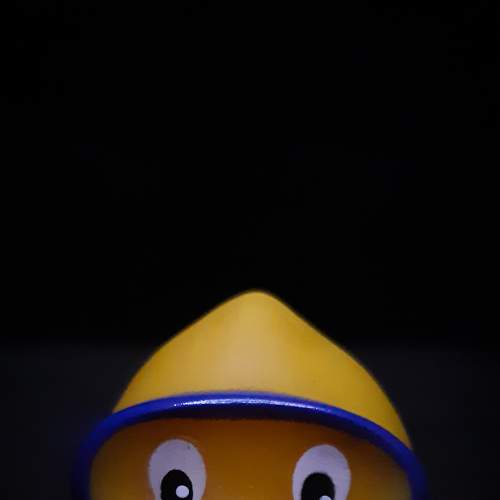 Photo #7205420