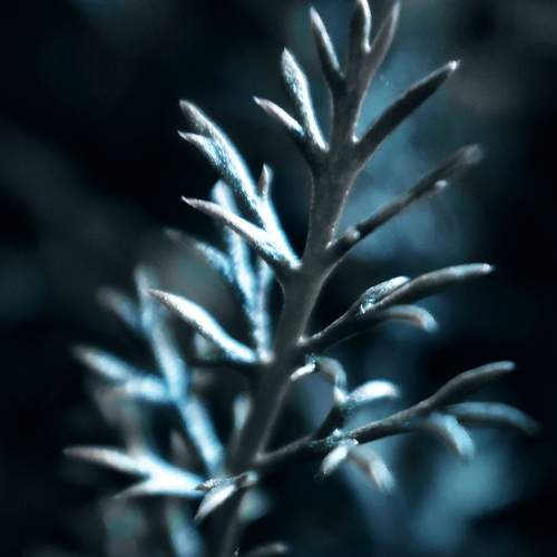 Photo #7205861