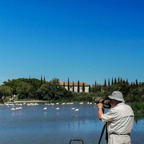 Photo #7205922
