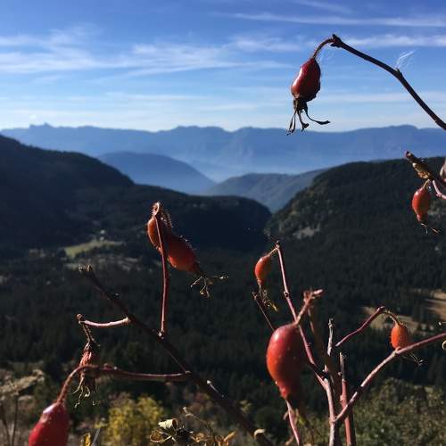 Photo #7205976