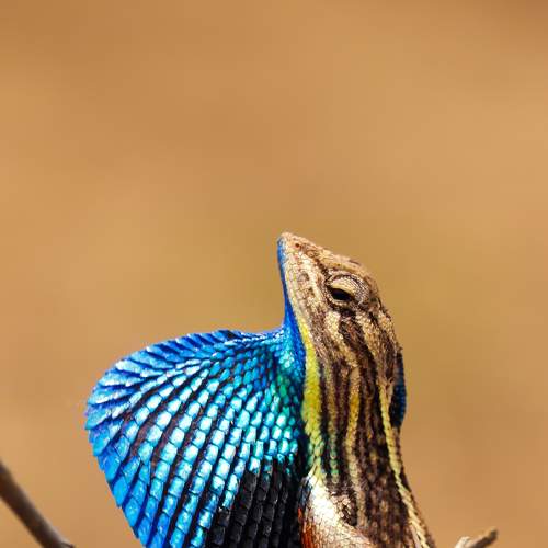 Nature has its own colors