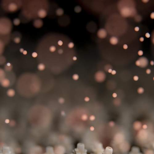 Фотография #7206499