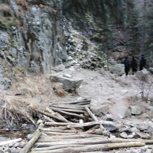 Photo #7207155