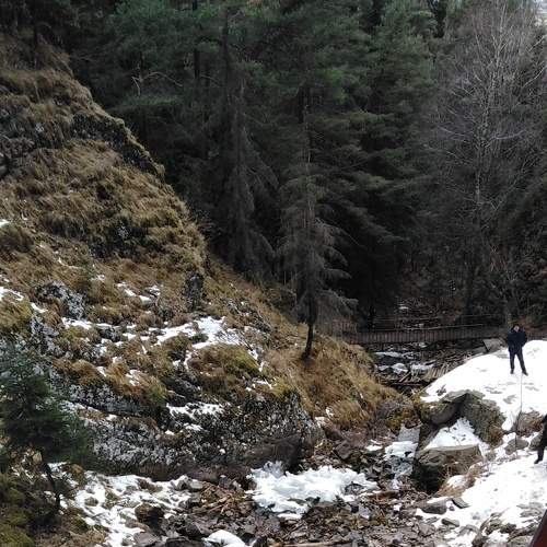 Photo #7207235