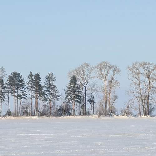 Photo #7207384