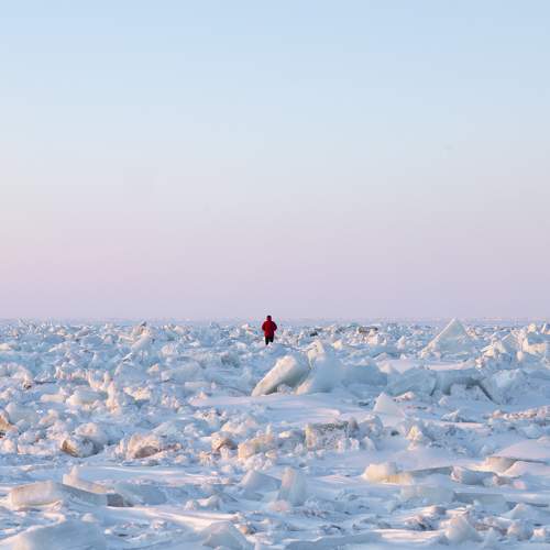 Photo #7207491