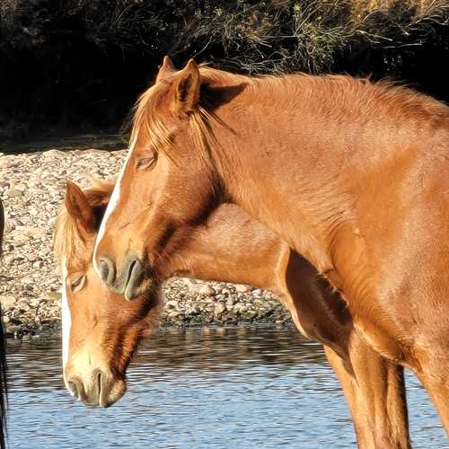 Photo #7207611