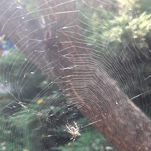 Photo #7207625