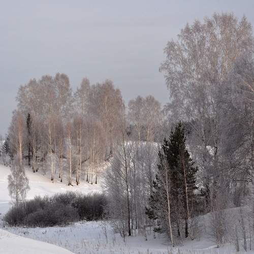 Photo #7207678