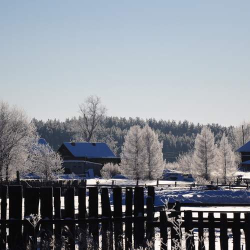 Photo #7207681