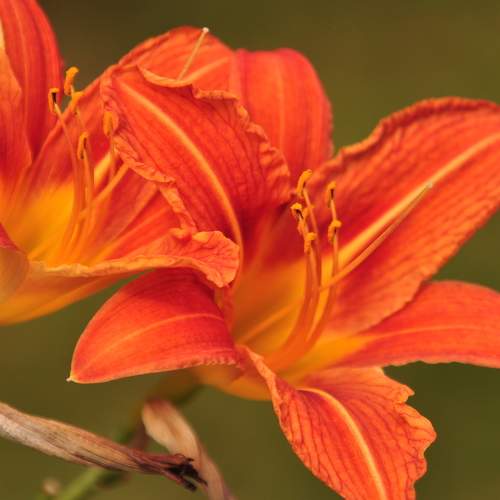 Photo #7207881