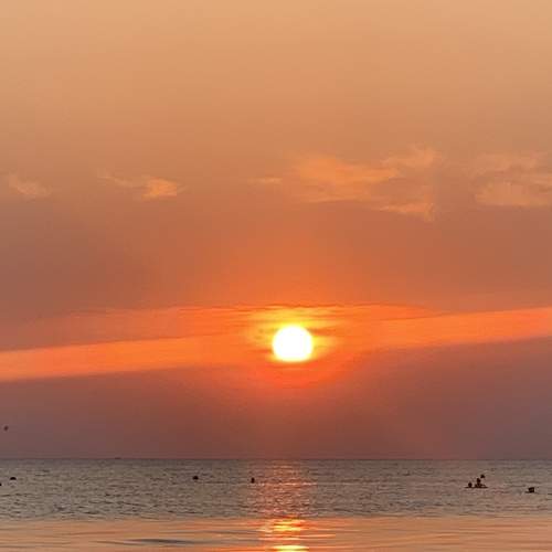 Photo #7208188
