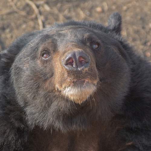 Photo #7208278