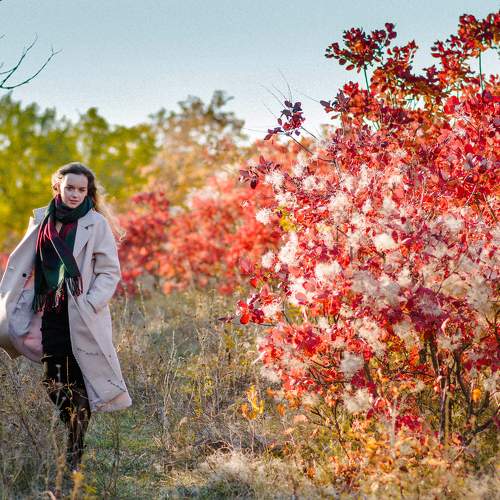 Photo #7208322