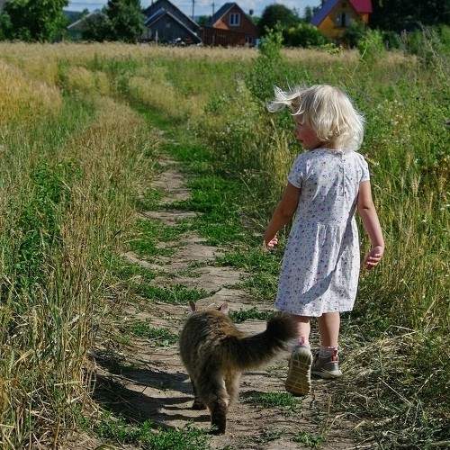 Photo #7208347