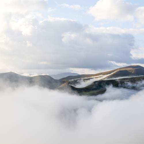 Photo #7208652