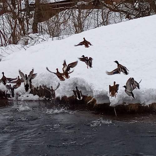 Photo #7208678
