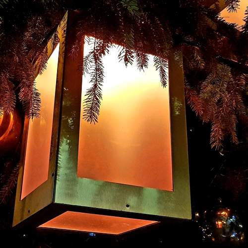 Photo #7208899