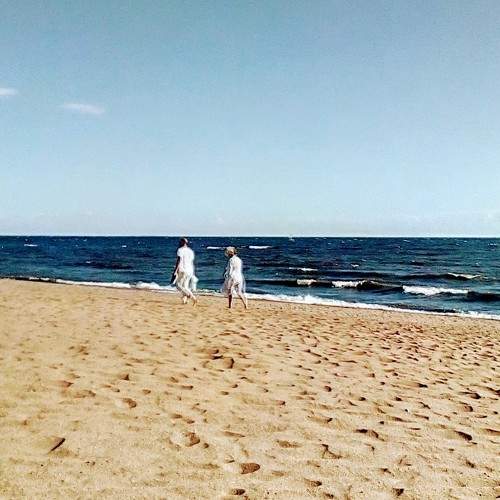Photo #7208978