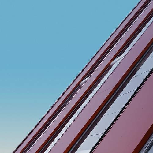 Photo #7209460