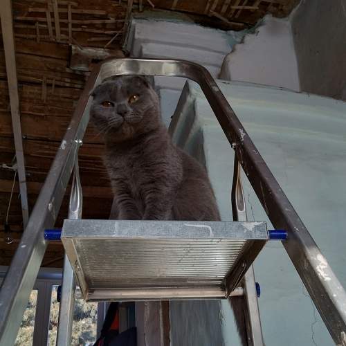 Photo #7209467