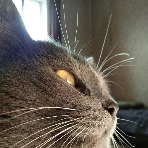 Photo #7209476