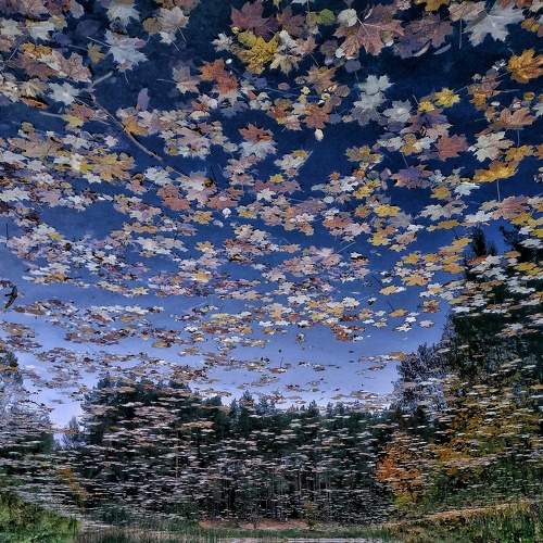 Photo #7209706