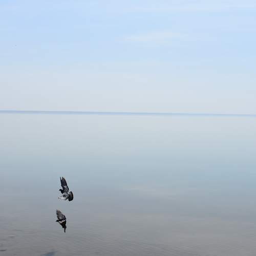 Photo #7210085