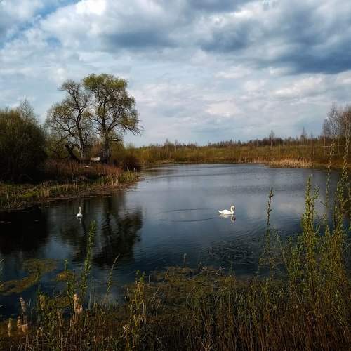 Photo #7210122