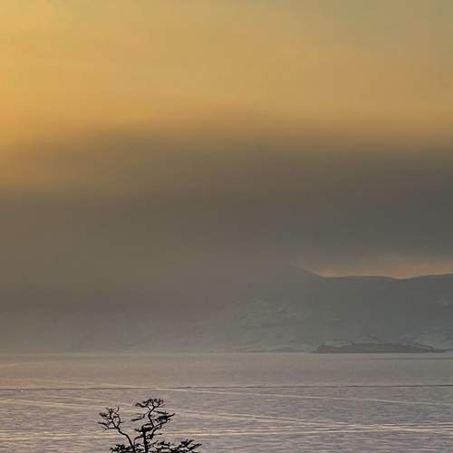 Photo #7210131