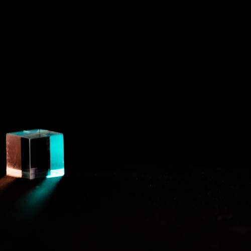 Photo #7210274