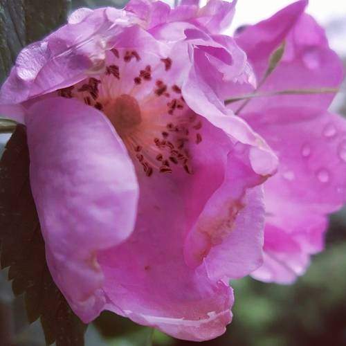 Photo #7210371