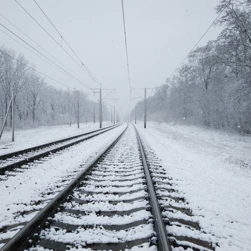 Photo #7210563