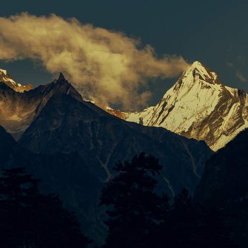 Photo #7210597