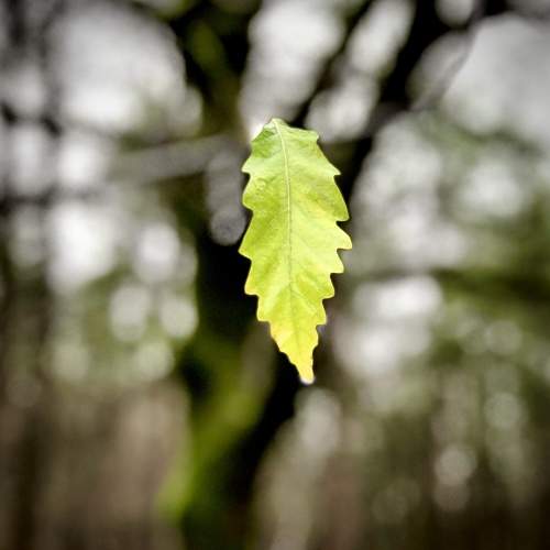 Photo #7210773