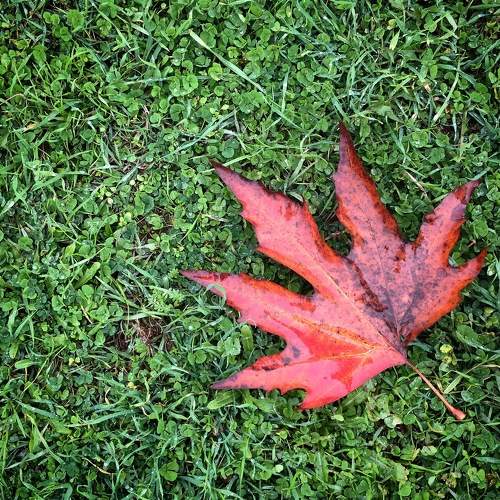 Photo #7210785