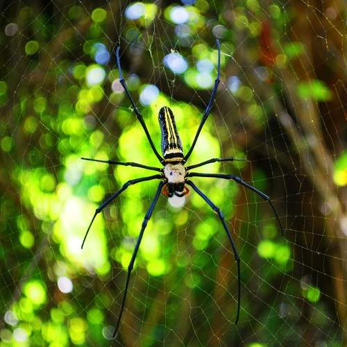 Photo #7210800