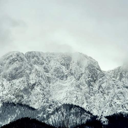 Photo #7210988