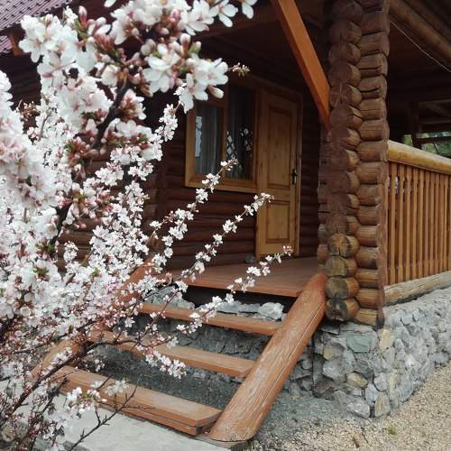 Photo #7211019