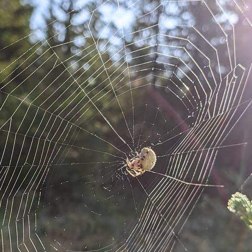 Photo #7211080