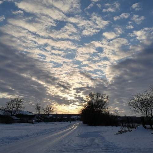 Photo #7211193