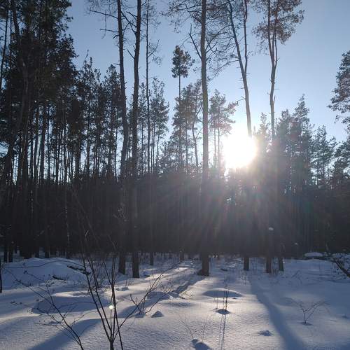 Photo #7211365