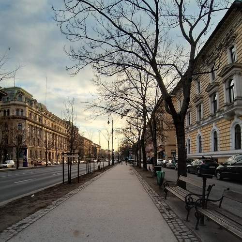 Photo #7211457